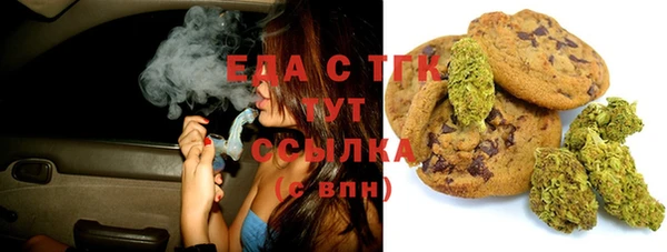 дмт Ельня
