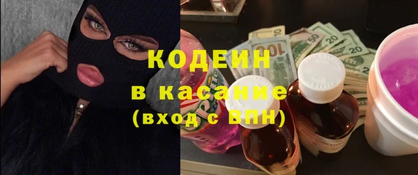 дмт Ельня