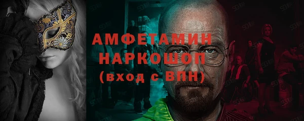 дмт Ельня