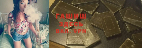дмт Ельня