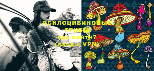 дмт Ельня
