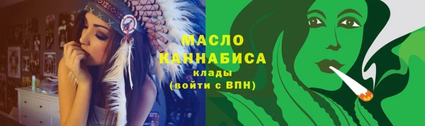 дмт Ельня