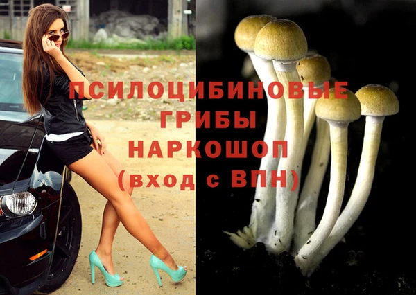 первитин Елабуга