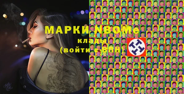 дмт Ельня