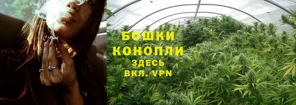 дмт Ельня