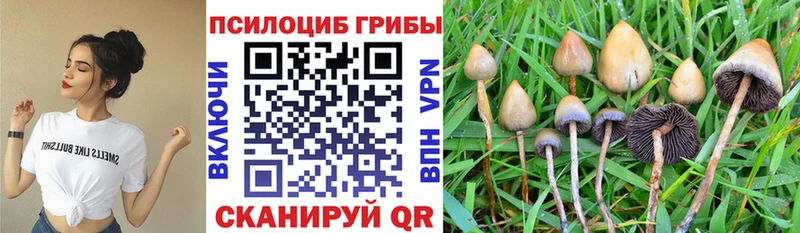 Купить где  Красково  Галлюциногенные грибы мухоморы 